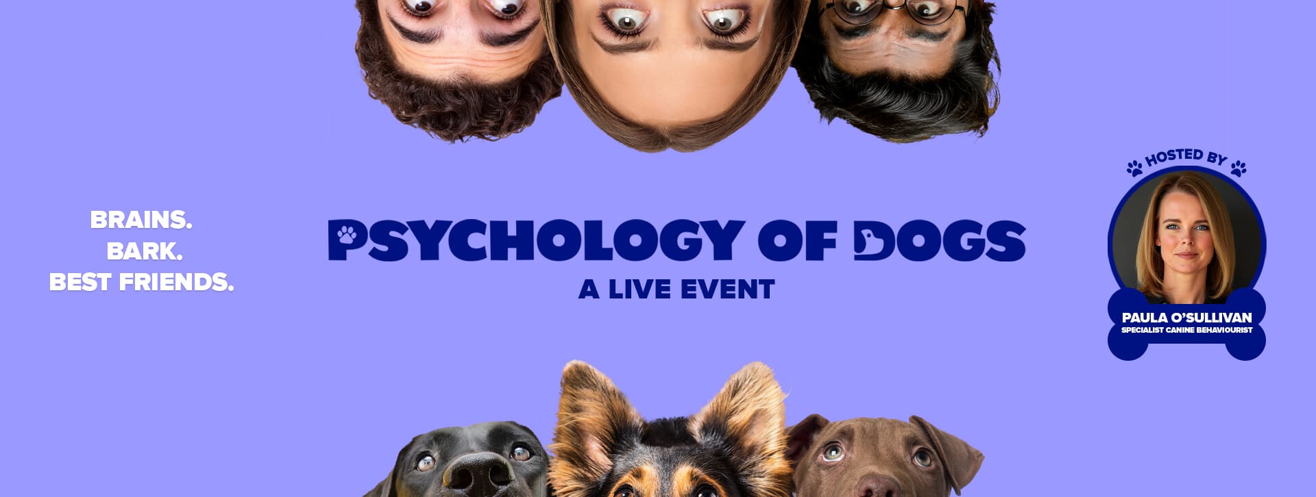 The Psychology of Dogs