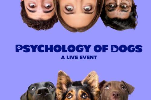 The Psychology of Dogs
